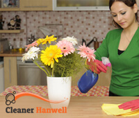 Domestic Cleaner Hanwell