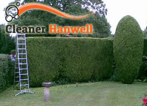 Hedge Maintenance Hanwell