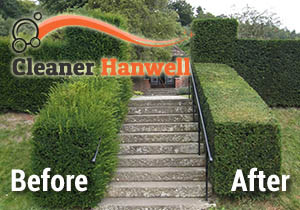 Before and After Hedge Trimming